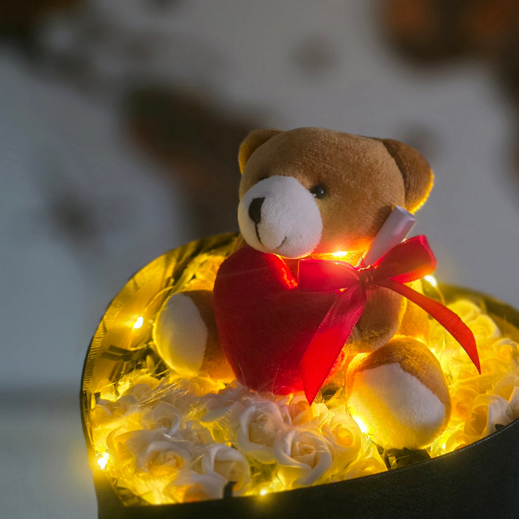 Kutija Večnih Uspomena + Pismo