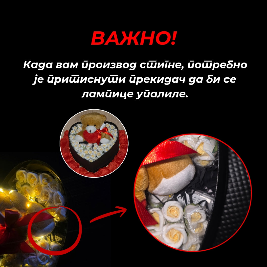 Кутија Вечних Успомена + Писмо